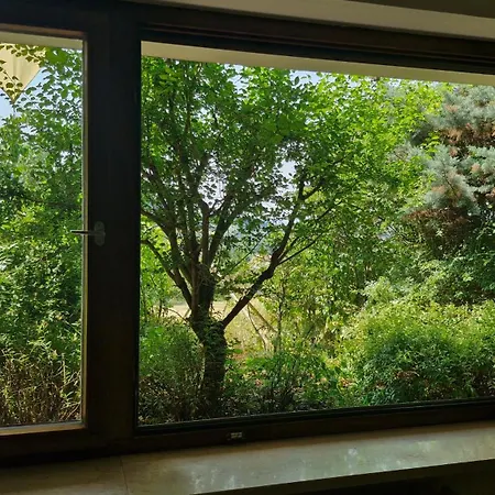 Lejlighed Sunnyhill, Traumhafte Aussicht, Terrasse, Garten *